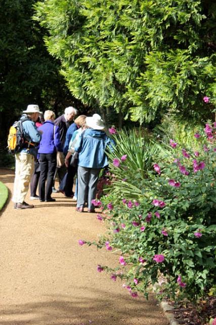 4. Wadham College gardens.jpg